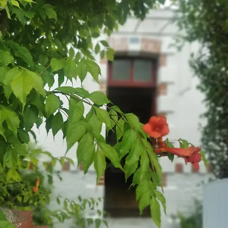 Au Coin Fleuri Prázdninový dům *