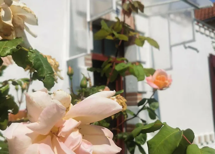 Au Coin Fleuri * La Bernerie-en-Retz