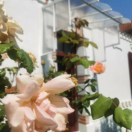 Au Coin Fleuri * لا برنوري-ان-رتز