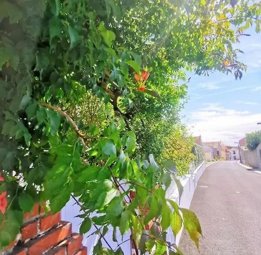 Au Coin Fleuri 펜션