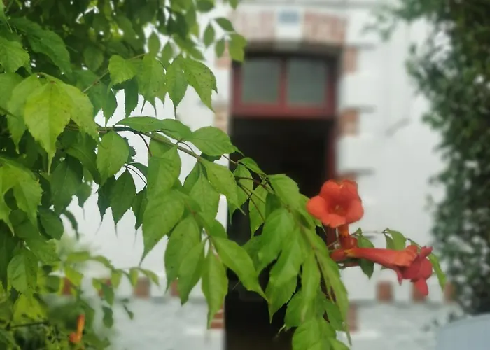 Au Coin Fleuri 펜션 *